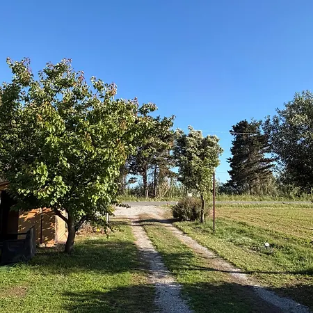 La Bertuccina Apartamento Piombino